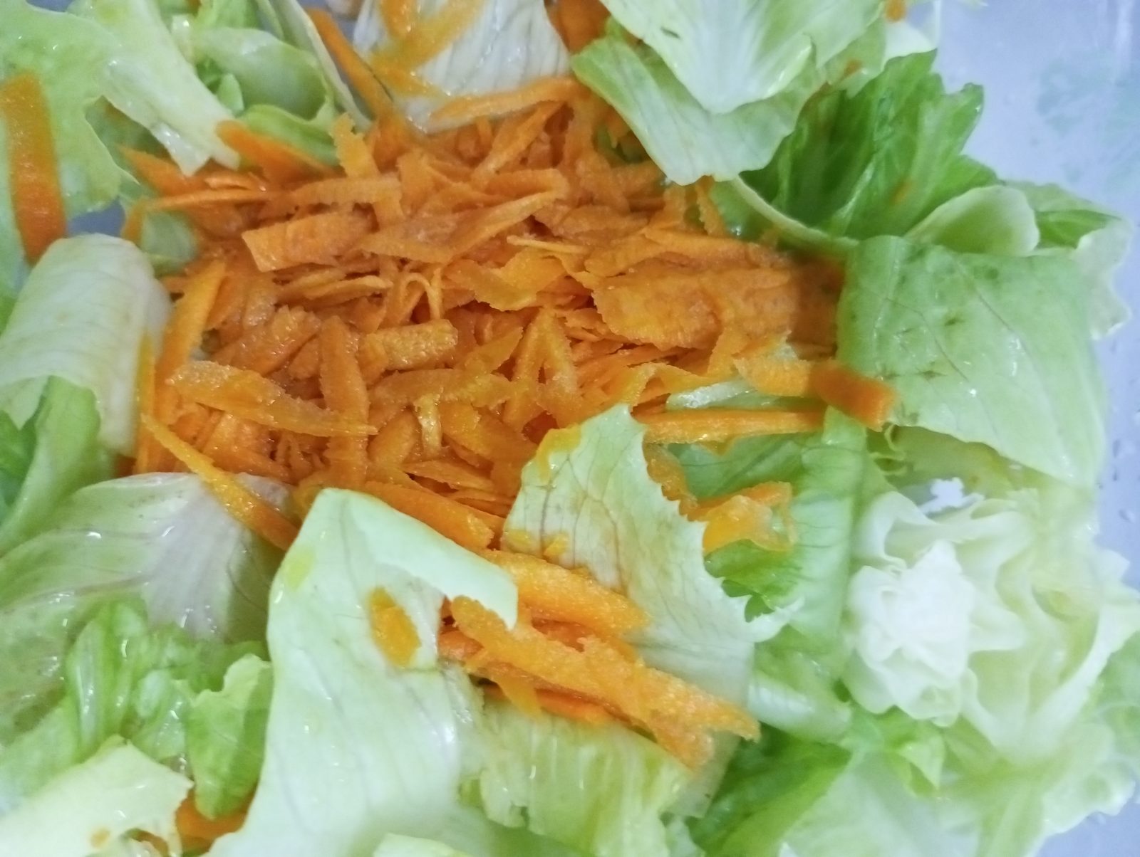 Plat d’amanida d’enciam amb pastanaga ratllada.