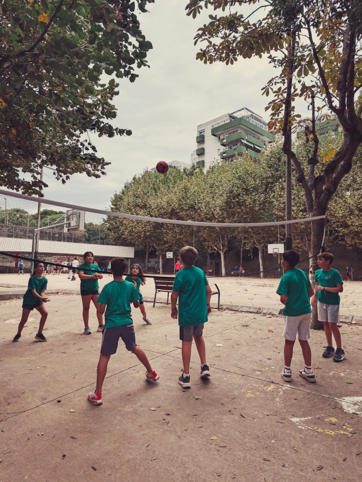 Infants jugant amb una pilota sota una xarxa alta, entre els arbres del pati.